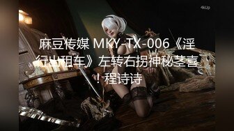 麻豆传媒 MKY-TX-006《淫行出租车》左转右拐神秘茎喜！程诗诗