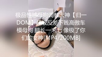 极品性感母狗调教大神【归一DOM】超级反差下贱高傲车模母狗 腿长一米七 像极了你们的女神[MP4/200MB]