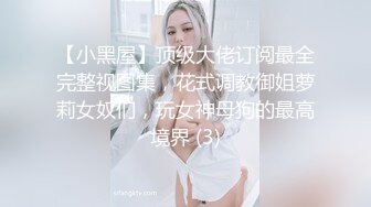 【小黑屋】顶级大佬订阅最全完整视图集，花式调教御姐萝莉女奴们，玩女神母狗的最高境界 (3)