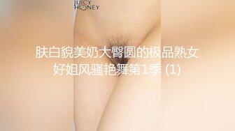 肤白貌美奶大臀圆的极品熟女好姐风骚艳舞第1季 (1)