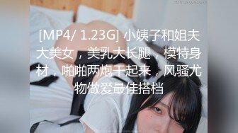 [MP4/ 1.23G] 小姨子和姐夫大美女，美乳大长腿，模特身材，啪啪两炮干起来，风骚尤物做爱最佳搭档