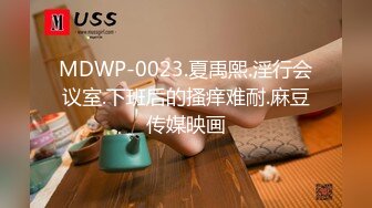 MDWP-0023.夏禹熙.淫行会议室.下班后的搔痒难耐.麻豆传媒映画