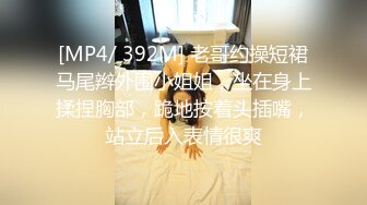 [MP4/ 392M] 老哥约操短裙马尾辫外围小姐姐，坐在身上揉捏胸部，跪地按着头插嘴，站立后入表情很爽