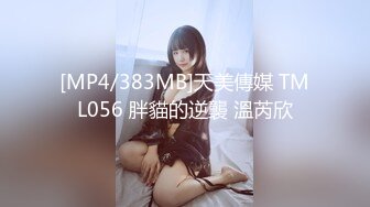 [MP4/383MB]天美傳媒 TML056 胖貓的逆襲 溫芮欣