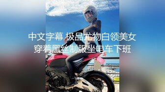 中文字幕 极品尤物白领美女穿着黑丝制服坐电车下班