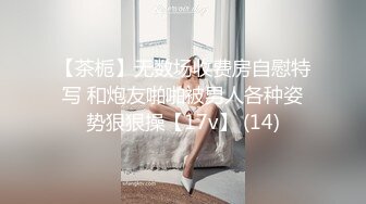 【茶栀】无数场收费房自慰特写 和炮友啪啪被男人各种姿势狠狠操【17v】 (14)