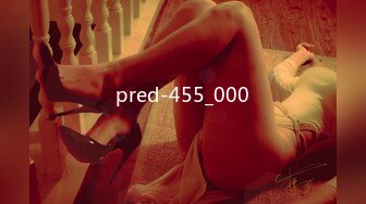 pred-455_000