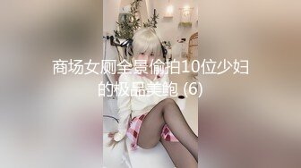 商场女厕全景偷拍10位少妇的极品美鲍 (6)