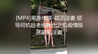 [MP4]果冻传媒-罪恶淫妻 领导司机趁老板外出之机偷情极品豪乳淫妻