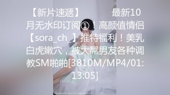 【新片速遞】 ⚫️⚫️最新10月无水印订阅①！高颜值情侣【sora_ch_】推特福利！美乳白虎嫩穴，被大屌男友各种调教SM啪啪[3810M/MP4/01:13:05]