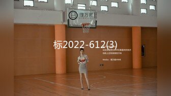 标2022-612(3)