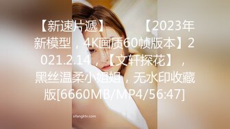 【新速片遞】 ⭐⭐⭐【2023年新模型，4K画质60帧版本】2021.2.14，【文轩探花】，黑丝温柔小姐姐，无水印收藏版[6660MB/MP4/56:47]