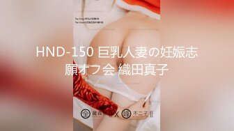 HND-150 巨乳人妻の妊娠志願オフ会 織田真子