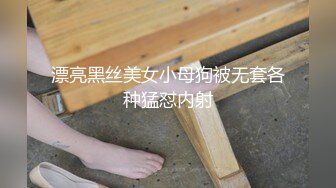 漂亮黑丝美女小母狗被无套各种猛怼内射