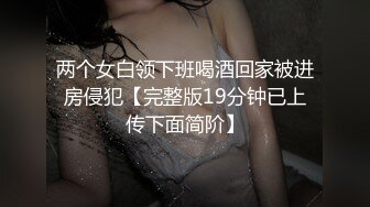 两个女白领下班喝酒回家被进房侵犯【完整版19分钟已上传下面简阶】