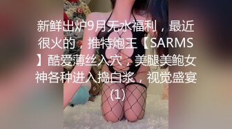 新鲜出炉9月无水福利，最近很火的，推特炮王【SARMS】酷爱薄丝入穴，美腿美鲍女神各种进入捣白浆，视觉盛宴 (1)